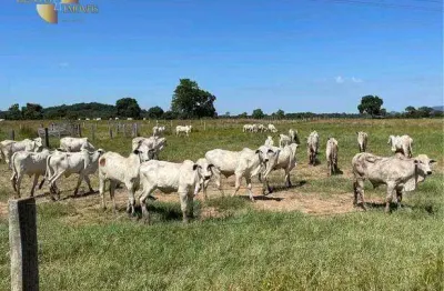 Fazenda à venda, 20500000 m² por r$ 55.350.000,00 - zona rural - cuiabá/mt