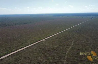 Fazenda à venda, 70000000 m² por r$ 120.000.000,00 - chacaras setor quatro - cerejeiras/ro