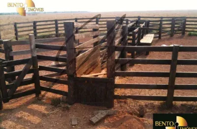 Fazenda à venda, 4000000 m² por r$ 17.000.000,00 - zona rural - nova mutum/mt