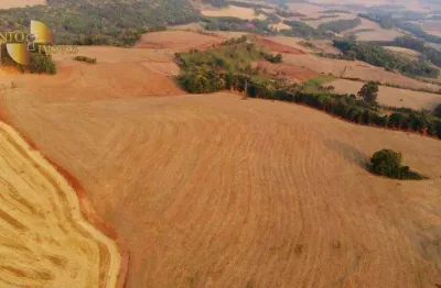 Fazenda à venda, 2968399 m² por r$ 52.800.000,00 - zona rural - francisco beltrão/pr