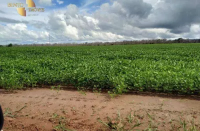 Fazenda, 50000000 m² - venda por r$ 51.000.000 ou arrendamento por r$ 10.000/mês - zona rural - guarantã do norte/mt