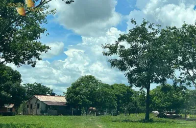 Fazenda à venda, 1000000 m² por r$ 1.500.000,00 - zona rural - nobres/mt