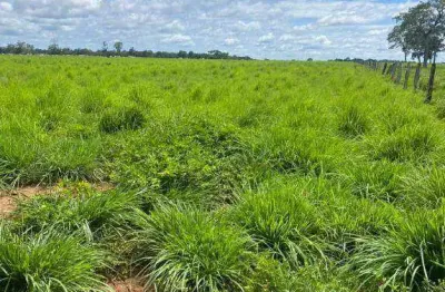 Fazenda para arrendar, 16000000 m² por r$ 1.536.000/ano - zona rural - poconé/mt