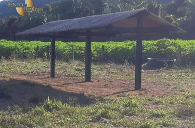 Fazenda em mimoso à venda, 1860000 m² por r$ 4.000.000 - zona rural - santo antônio do leverger/mt