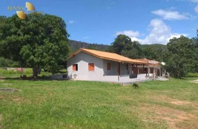 Fazenda para alugar, 10000000 m² por r$ 45.000,00/mês - zona rural - jangada/mt