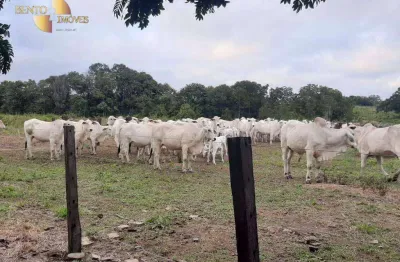 Fazenda à venda, 3250000 m² por r$ 5.500.000,00 - zona rural - rosário oeste/mt
