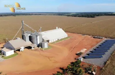 Área à venda, 30000 m² por r$ 35.000.000,00 - zona rural - são josé do rio claro/mt