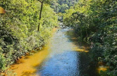 Fazenda com 3 dormitórios à venda, 1600000 m² por r$ 2.000.000,00 -  pacem - cuiabá/mt