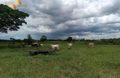 Fazenda à venda, 7000000 m² por r$ 21.000.000,00 - zona rural - poconé/mt