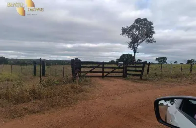 Fazenda à venda, 2000000 m² por r$ 3.400.000,00 - zona rural - nossa senhora do livramento/mt