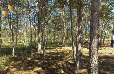 Fazenda à venda, 22660000 m² por r$ 28.000.000,00 - zona rural - jangada/mt
