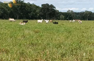Fazenda à venda, 2900000 m² por r$ 7.500.000,00 -  pacem - cuiabá/mt