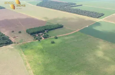 Fazenda à venda, 6540000 m² por R$ 25.000.000,00 - Zona Rural - Gaúcha do Norte/MT