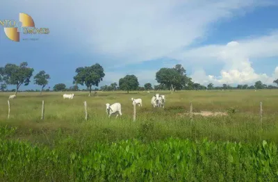Fazenda à venda, 164380000 m² por r$ 68.000.000,00 - zona rural - poconé/mt