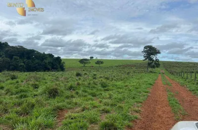 Fazenda à venda, 11600000 m² por r$ 45.000.000,00 - zona rural - primavera do leste/mt