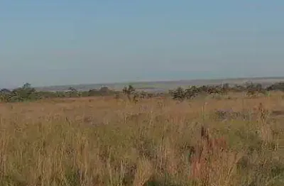 Fazenda à venda, 13000000 m² por r$ 18.000.000,00 - zona rural - primavera do leste/mt
