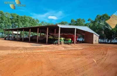Fazenda à venda, 530780000 m² por r$ 159.210.000,00 - zona rural - nova ubiratã/mt
