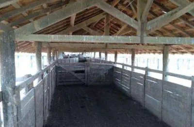 Fazenda à venda, 119000000 m² por r$ 150.000.000,00 - zona rural - ribeirão cascalheira/mt