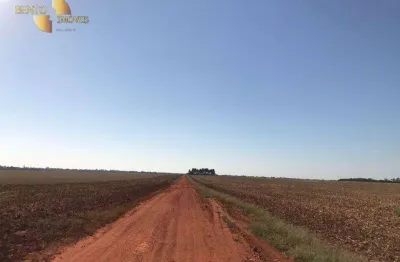 Fazenda à venda, 78170000 m² por r$ 330.000.000,00 - zona rural - paranatinga/mt