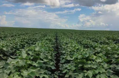 Fazenda à venda, 93850000 m² por r$ 675.720.000,00 - zona rural - sapezal/mt