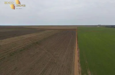 Fazenda à venda, 2420000 m² por r$ 15.000.000,00 - zona rural - jangada/mt