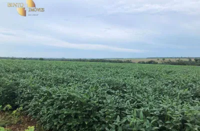 Fazenda à venda, 6000000 m² por r$ 44.400.000,00 - zona rural - são josé do rio claro/mt