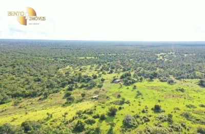Fazenda à venda, 22000000 m² por r$ 18.000.000,00 - zona rural - rondonópolis/mt