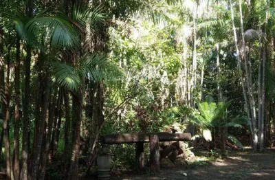 Fazenda à venda, 11530000 m² por r$ 12.000.000,00 - zona rural - araguaína/to