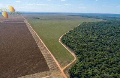 Fazenda à venda, 50000000 m² por r$ 200.000.000,00 - zona rural - campo novo do parecis/mt