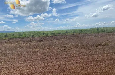 Fazenda à venda, 24000000 m² por r$ 75.000.000,00 - zona rural - jangada/mt