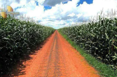 Fazenda à venda, 36000000 m² por r$ 230.400.000,00 - zona rural - tabaporã/mt