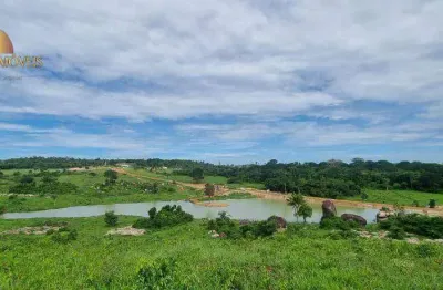 Fazenda à venda, 9680000 m² por r$ 65.000.000,00 - zona rural - nova santa helena/mt