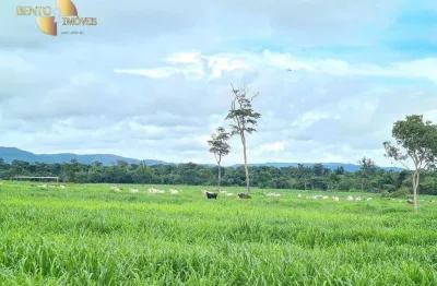 Fazenda à venda, 9680000 m² por r$ 75.000.000,00 - zona rural - confresa/mt