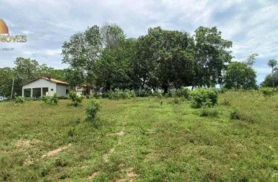 Fazenda à venda, 23600000 m² por r$ 16.000.000,00 - zona rural - poconé/mt