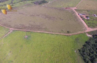 Fazenda à venda, 9500000 m² por r$ 75.000.000,00 - zona rural - matupá/mt
