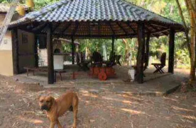 Fazenda à venda, 2879800 m² por r$ 8.000.000,00 - zona rural - cáceres/mt