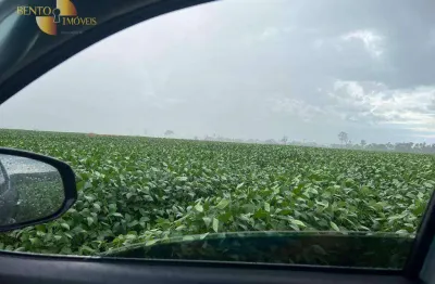 Fazenda à venda, 30250000 m² por r$ 60.000.000,00 - zona rural - nova monte verde/mt