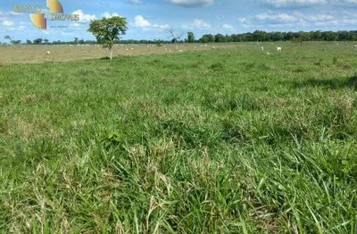 Fazenda à venda, 2670000 m² por r$ 8.000.000,00 - zona rural  - várzea grande/mt