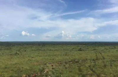 Fazenda à venda, 20940000 m² por r$ 35.000.000,00 - zona rural - santa rita do trivelato/mt