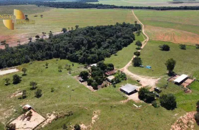 Fazenda à venda, 16000000 m² por r$ 71.680.000,00 - zona rural - tesouro/mt