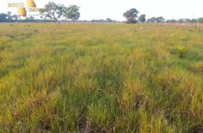 Fazenda à venda, 5000000 m² por r$ 20.000.000,00 - zona rural - cuiabá/mt