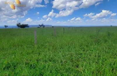 Fazenda à venda, 3000000 m² por r$ 4.500.000,00 - zona rural - diamantino/mt