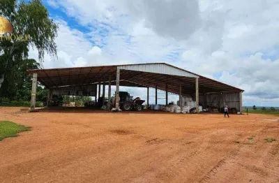 Fazenda à venda, 7280000 m² por r$ 36.400.000,00 - zona rural - nova maringá/mt