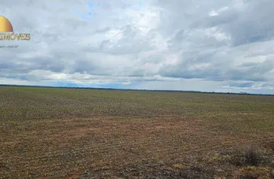 Fazenda à venda, 3100000 m² por r$ 27.500.000,00 - centro - tapurah/mt