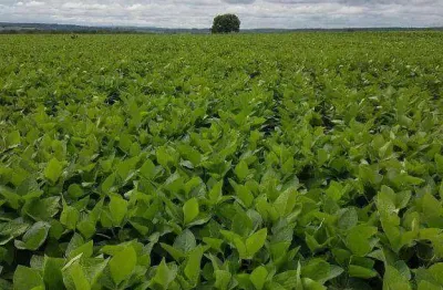 Fazenda à venda, 2120000 m² por r$ 9.540.000,00 - zona rural - juscimeira/mt