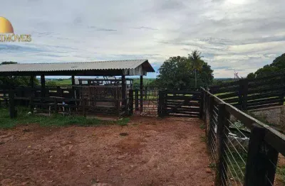 Fazenda à venda, 2400000 m² por r$ 6.500.000,00 - zona rural - dom aquino/mt