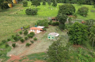 Fazenda à venda, 1780000 m² por r$ 6.500.000,00 - zona rural - pedra preta/mt