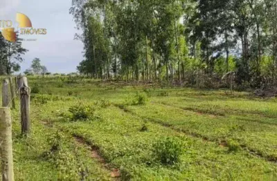 Fazenda à venda, 8000000 m² por r$ 7.000.000,00 - zona rural - guiratinga/mt