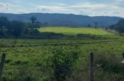 Fazenda à venda, 8400000 m² por r$ 16.000.000,00 - zona rural - rosário oeste/mt