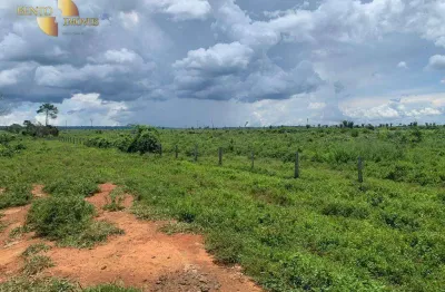 Fazenda para alugar, 30000000 m² por r$ 10.000,00 - zona rural - alta floresta/mt